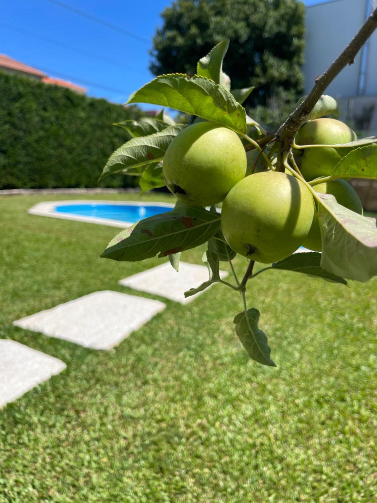 维亚纳堡Casa Do Albano别墅 外观 照片
